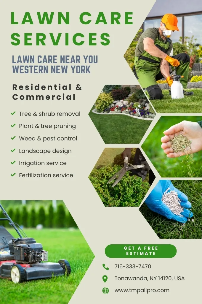 Thick, healthy green lawn