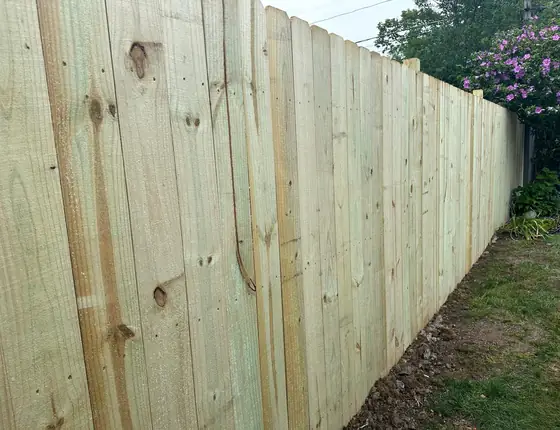 Tall wood privacy fence beside flowering shrubs