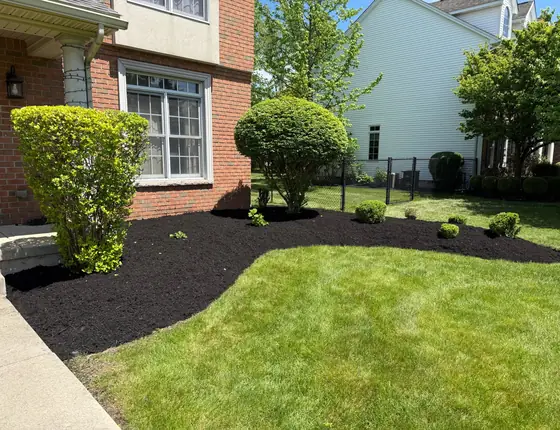 Black mulch bed with trimmed shrubs at a brick home