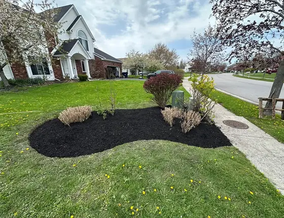 Curved mulch bed with ornamental plants on a front lawn