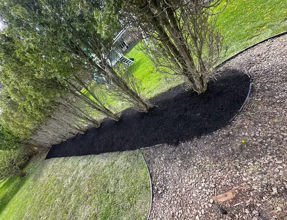 Curved mulch bed with clean edging beside a gravel drive
