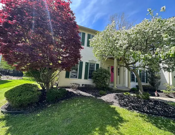 Colorful ornamental trees and shrubs in a freshly mulched bed