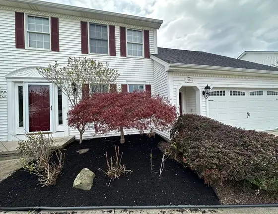 Front yard mulch beds with a red maple and shrubs at a white colonial home