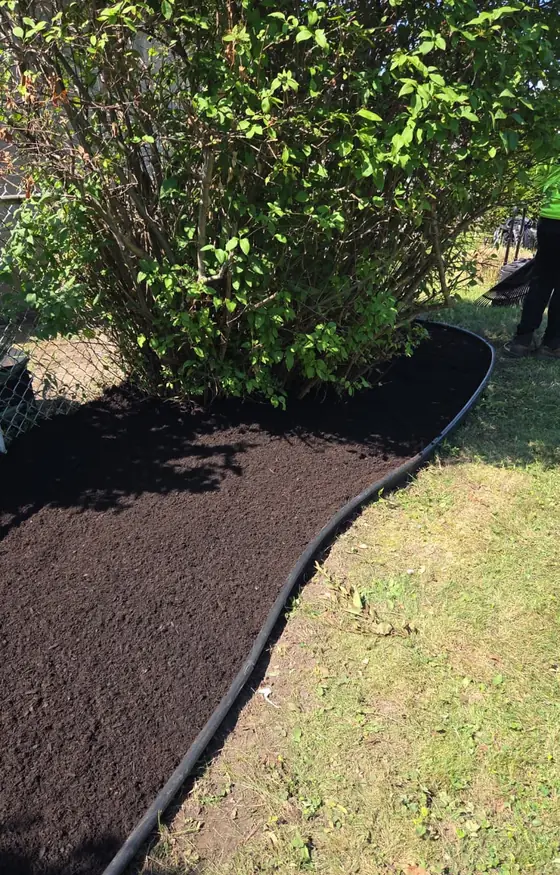 Mulch bed with a clean edging line against the lawn