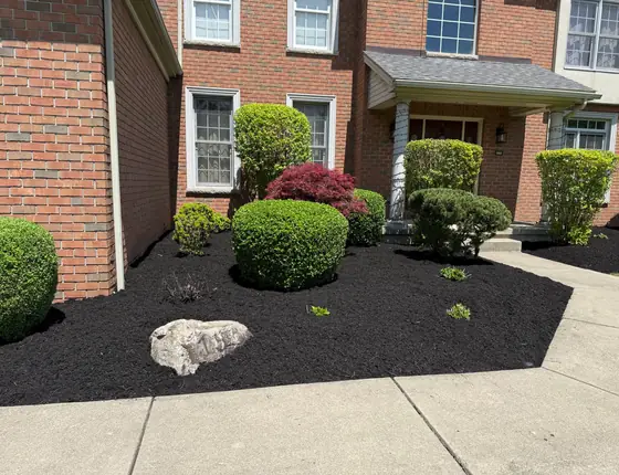 Mulch bed with a decorative boulder and shrubs at a brick home