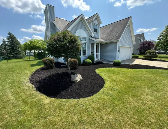Mulch island around a tree on a front lawn