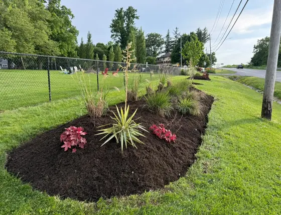 Garden bed with ornamental grasses and red plants