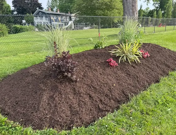 Large raised mulch bed with grasses and perennials
