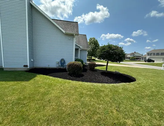 Mowed green lawn with a clean mulch bed beside a gray home