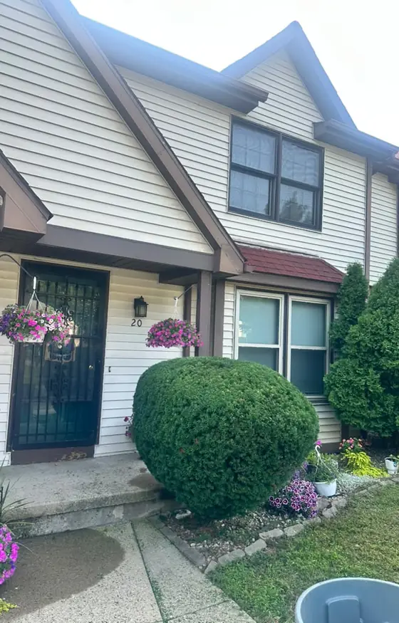 Trimmed shrub and flowering plants at a home entry