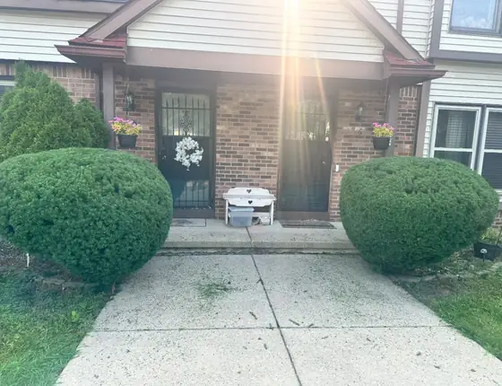 Trimmed hedges framing a front door and walkway