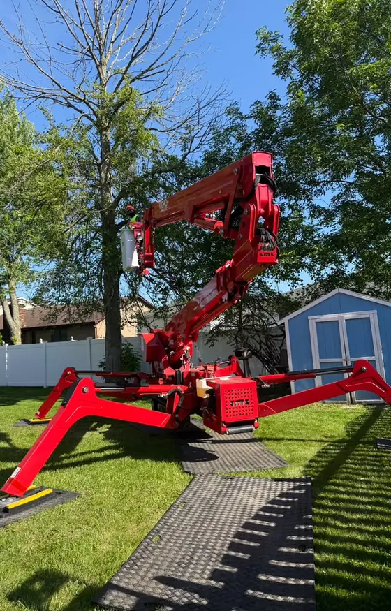Red spider lift set up on a backyard lawn for tree work