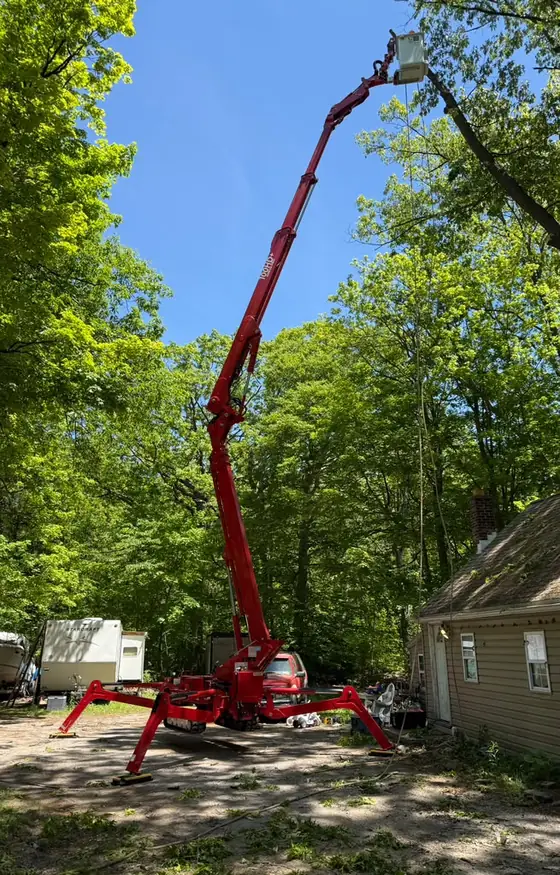 Red spider lift reaching into tall trees for tree trimming beside a home