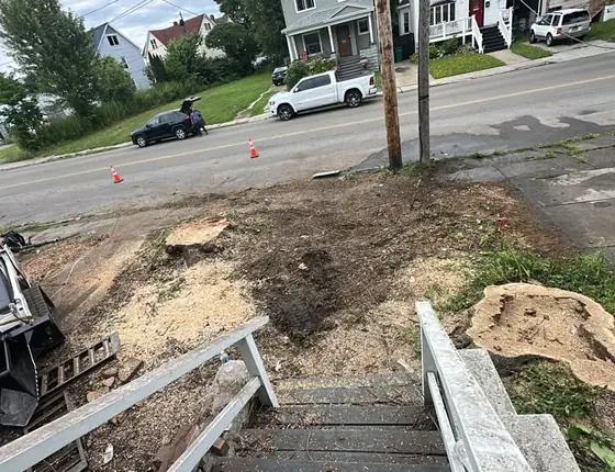 Stump removal site with grinder equipment beside a street