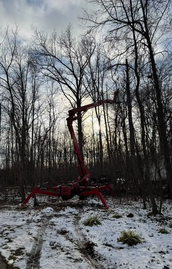 Spider lift set up for winter tree work among bare trees