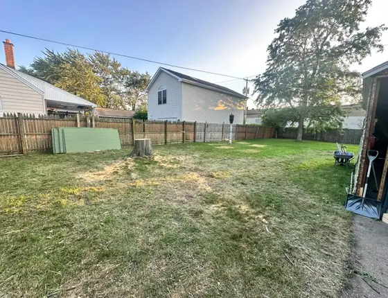 Open yard after tree removal and cleanup
