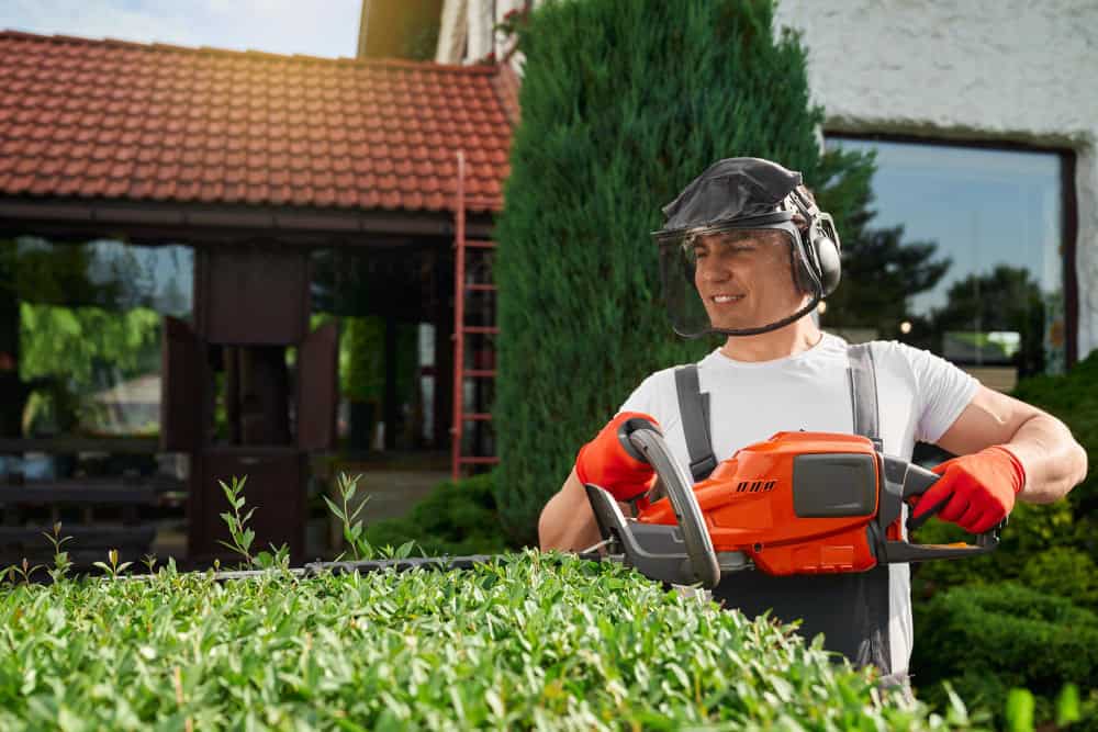 Professional Landscaping Services in Buffalo and Surrounding Western New York Region landscaping services near me